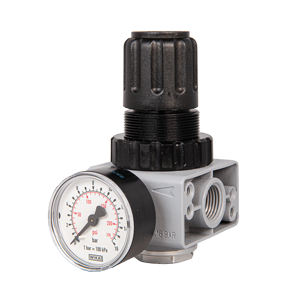 1/4" NPT Regulator (0-150 PSI) with Gauge