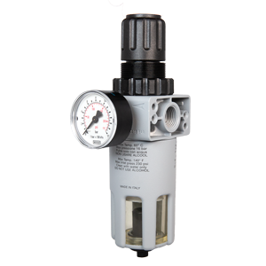1" NPT Filter Regulator (0-150 PSI) with Gauge & Auto Drain